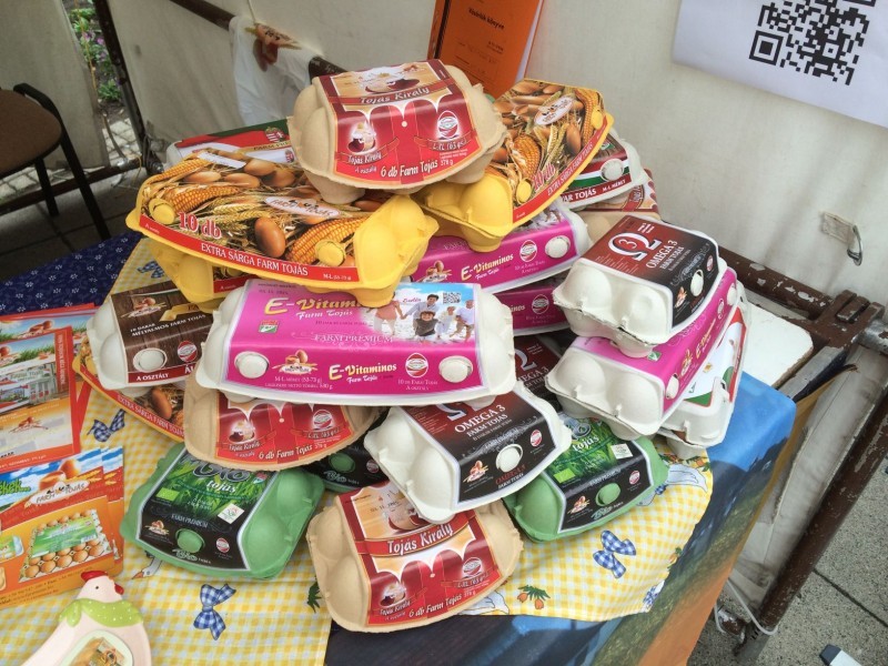 Toj&aacute;s fesztiv&aacute;l Kecskem&eacute;t 2015 