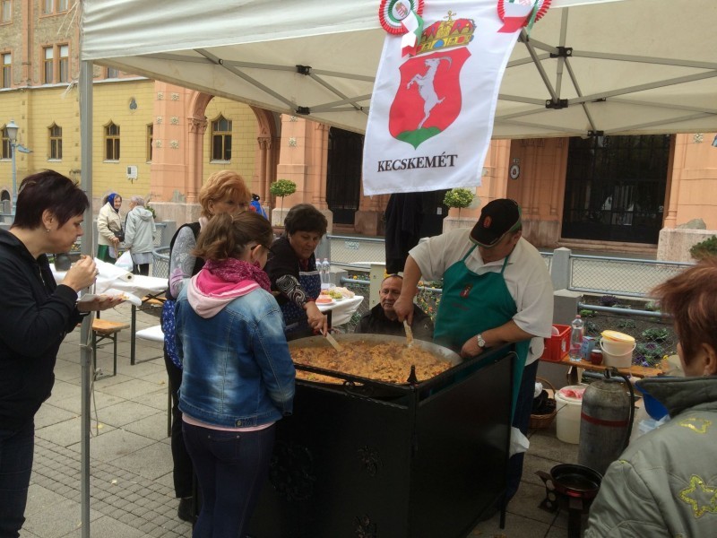 Toj&aacute;s fesztiv&aacute;l Kecskem&eacute;t 2015 