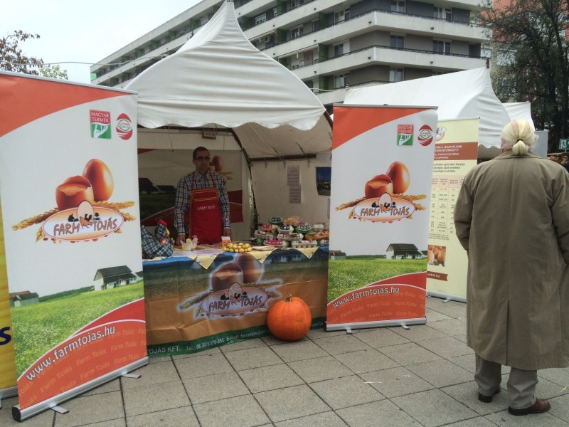 Toj&aacute;s fesztiv&aacute;l Kecskem&eacute;t 2015 