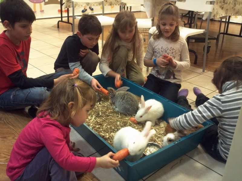 Toj&aacute;sfest&eacute;s - Campona 2013 