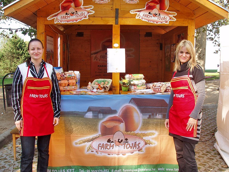 Toj&aacute;sfesztiv&aacute;l 2010 