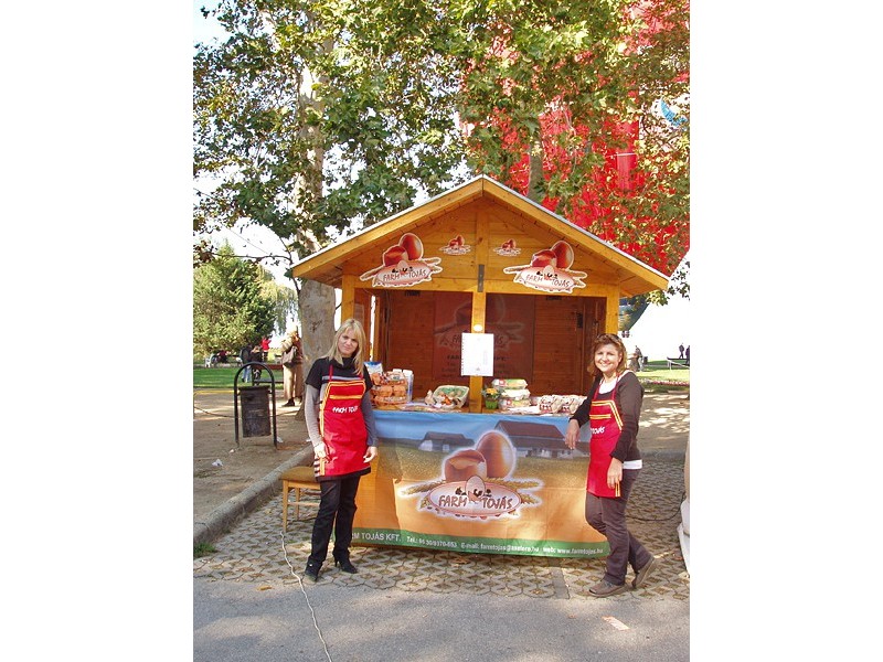 Toj&aacute;sfesztiv&aacute;l 2010 