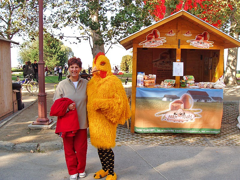 Toj&aacute;sfesztiv&aacute;l 2010 