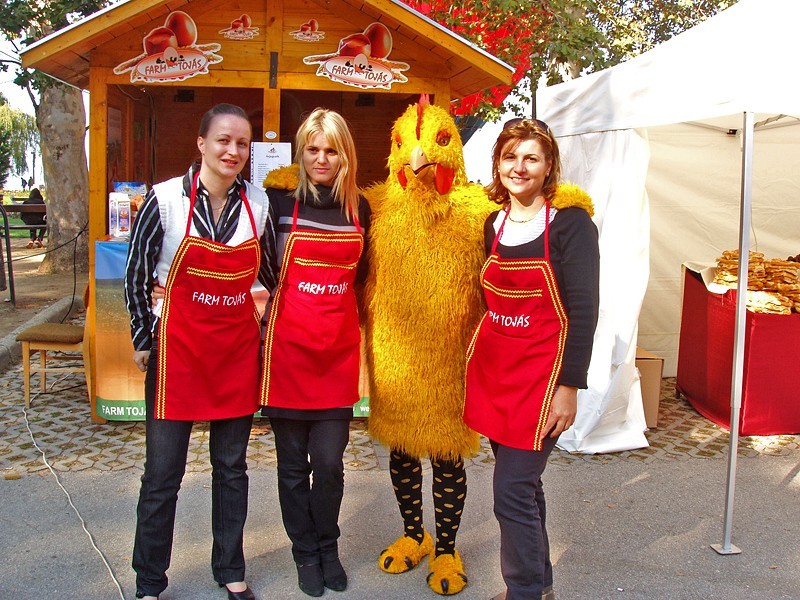 Toj&aacute;sfesztiv&aacute;l 2010 