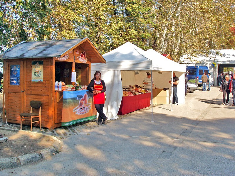 Toj&aacute;sfesztiv&aacute;l 2010 