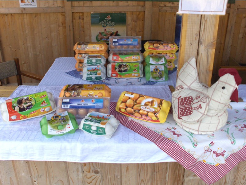 Toj&aacute;sfesztiv&aacute;l - Si&oacute;fok 2009 