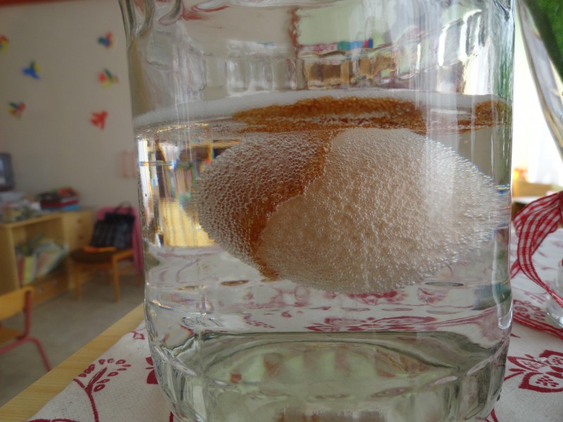 Toj&aacute;s k&iacute;s&eacute;rlet 