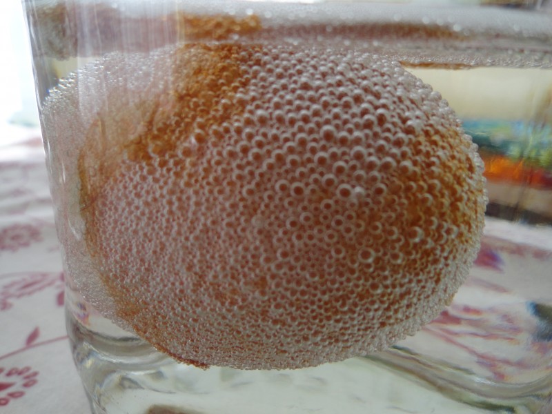 Toj&aacute;s k&iacute;s&eacute;rlet 