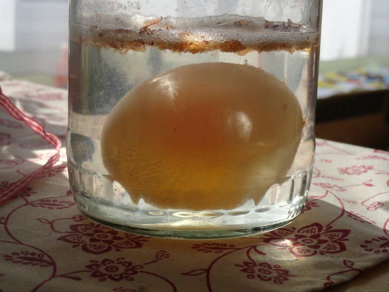 Toj&aacute;s k&iacute;s&eacute;rlet 