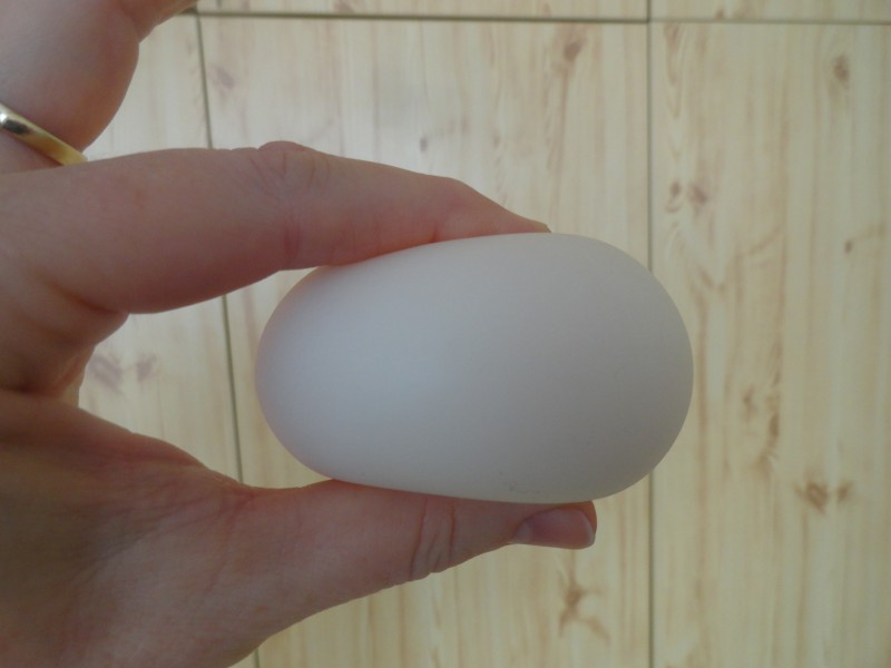 Toj&aacute;s k&iacute;s&eacute;rlet 