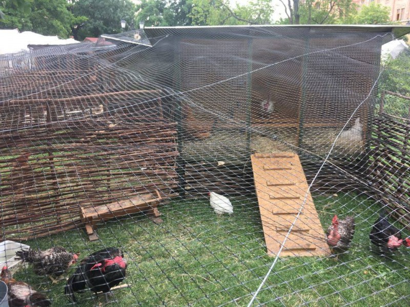 Toj&aacute;s Fesztiv&aacute;l - Kecskem&eacute;t 