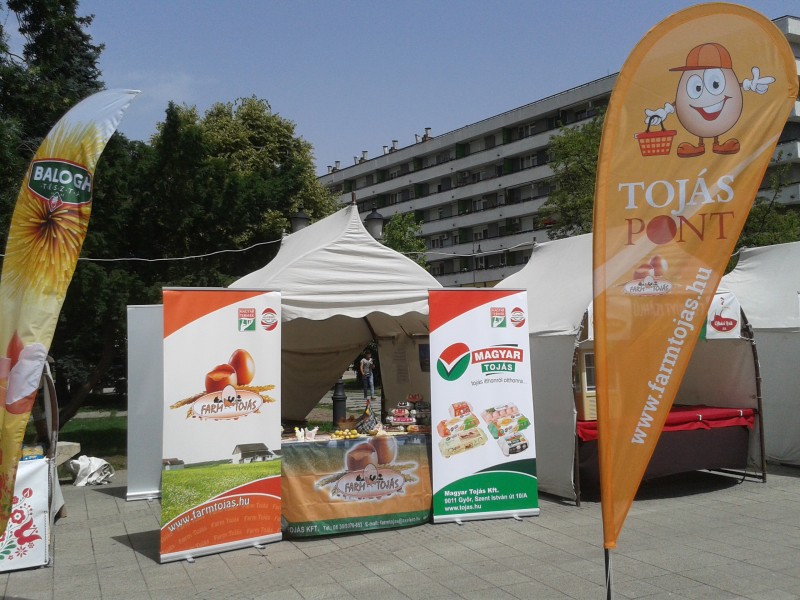 Toj&aacute;s Fesztiv&aacute;l - Kecskem&eacute;t 