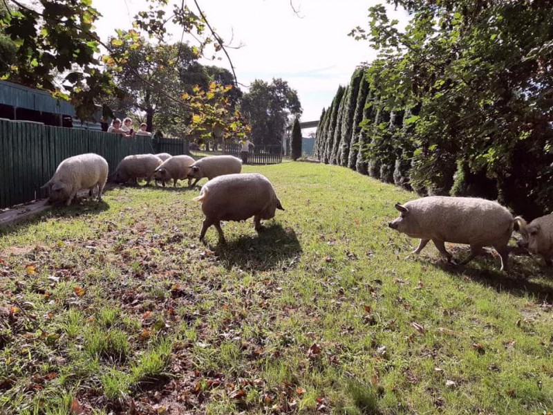 2020. szeptember 18-&aacute;n kerti partit rendez&uuml;nk bőnyi k&ouml;zpontunkban, a festői sz&eacute;ps&eacute;gű domboldalban.