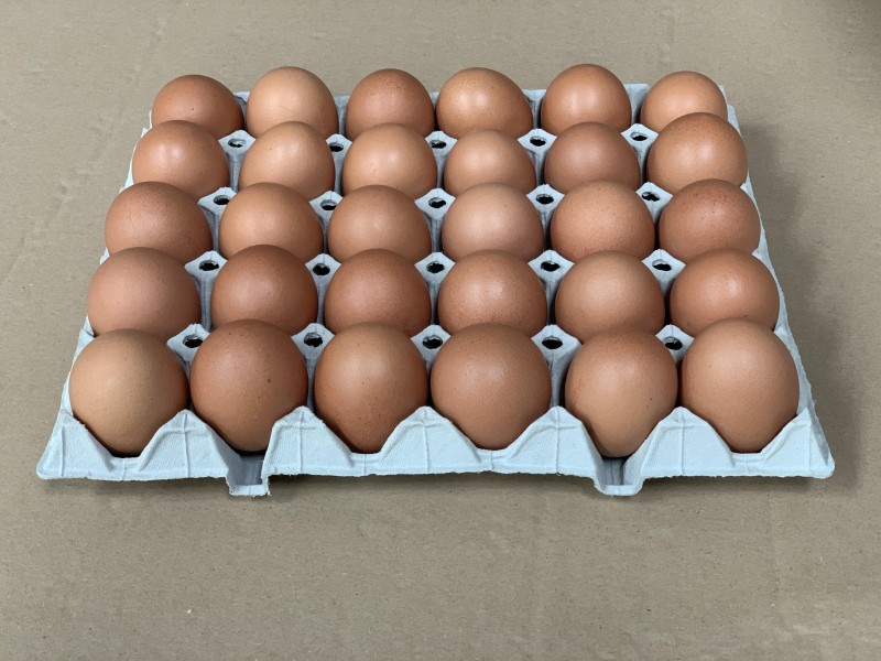 A toj&aacute;s kiemelkedő szerepe a j&aacute;rv&aacute;nyhelyzetben