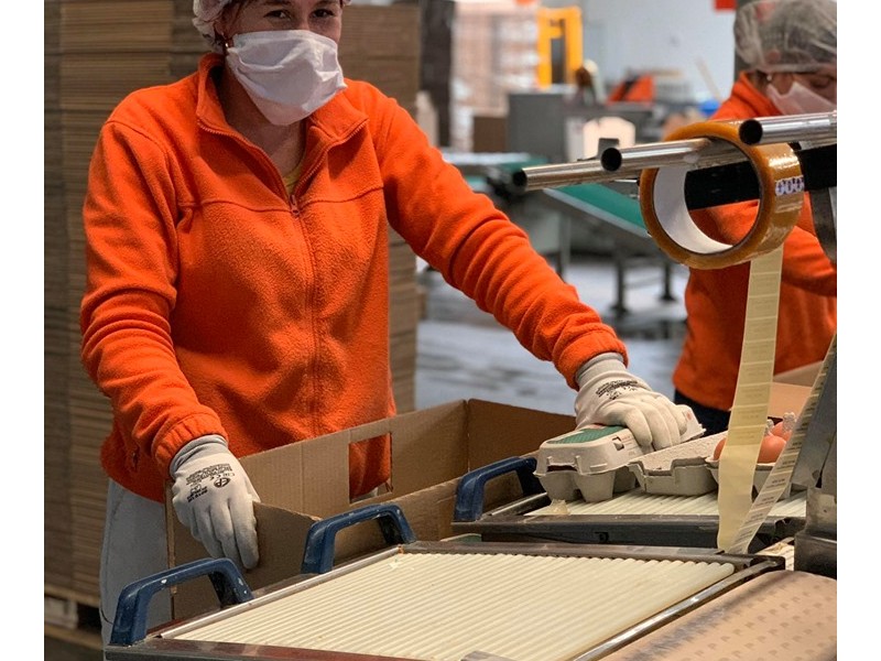 Dr. Kert&eacute;sz Tam&aacute;s &uuml;gyvezető igazgat&oacute; a Győr+ TV k&eacute;rd&eacute;seire v&aacute;laszolt