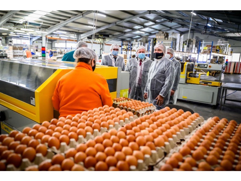 dr. Nagy Istv&aacute;n Agr&aacute;rminiszter &Uacute;r l&aacute;togat&aacute;sa toj&aacute;scsomagol&oacute; k&ouml;zpontunkban