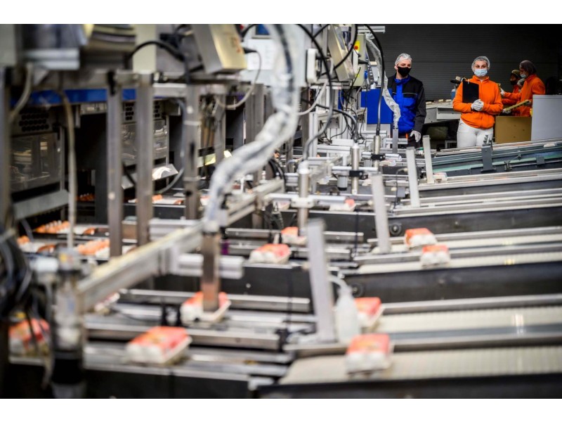 dr. Nagy Istv&aacute;n Agr&aacute;rminiszter &Uacute;r l&aacute;togat&aacute;sa toj&aacute;scsomagol&oacute; k&ouml;zpontunkban